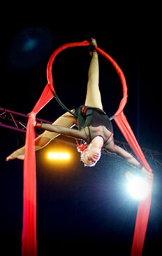 Carline, acrobate aérienne, cerceau aérien