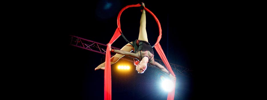 Carline acrobate aerienne acrobatique